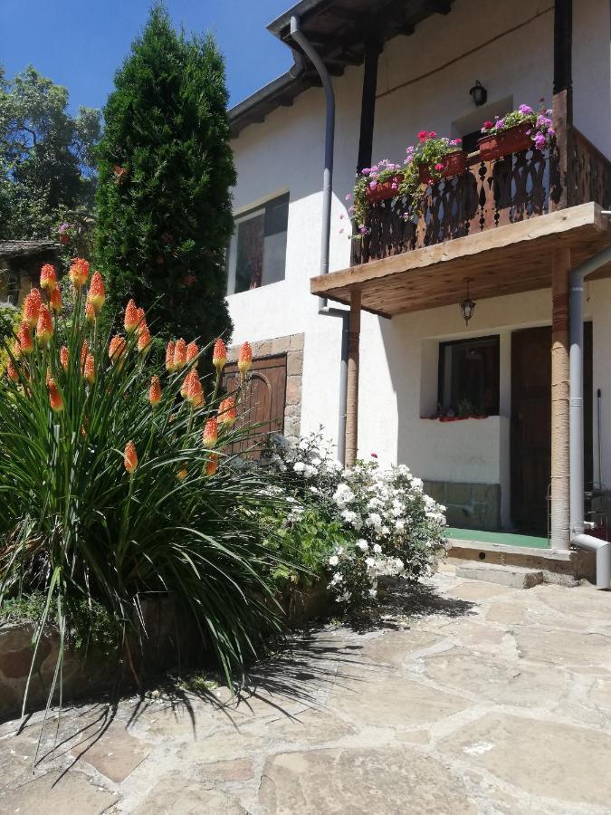 Къща За Гости Чичарите Gabrovo Exterior foto